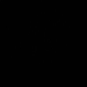 Meet your Posher, Isabella